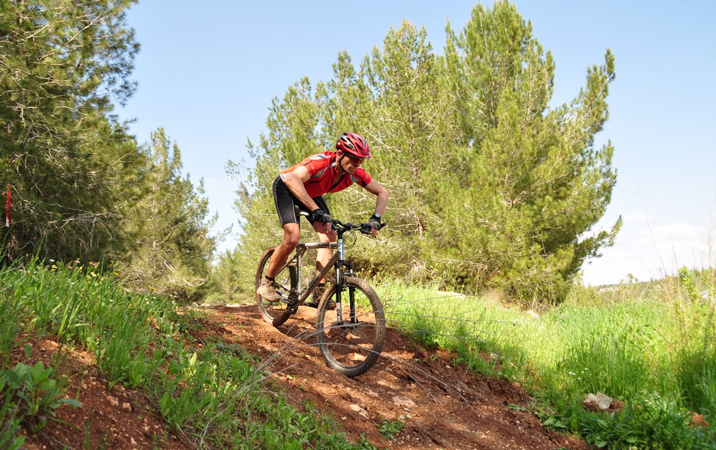 וינגייט אתר קורסים